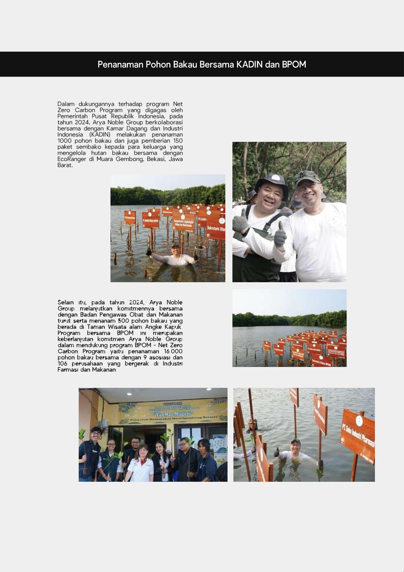 featured image for post CSR Report – Mangrove